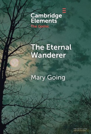 The Eternal Wanderer: Christian Negotiations in the Gothic Mode (Elements in the Gothic) - Mary Going [KSIĄŻKA]