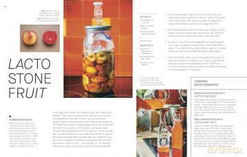 The Fermentation Kitchen: Recipes and Techniques for Kimchi, Kombucha, Koji and More - Sam Cooper [KSIĄŻKA]