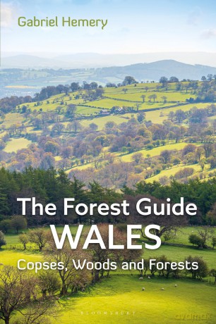 The Forest Guide: Wales: Copses, Woods and Forests of Wales (Forest Guides) - Gabriel Hemery [KSIĄŻKA]