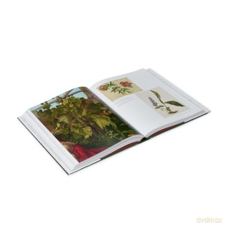 The German Paintings before 1800: National Gallery Catalogues (National Gallery London) - Susan Foister [KSIĄŻKA]