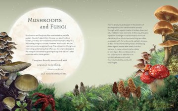 The Green Witch Illustrated: An Enchanting Immersion Into the Magic of Natural Witchcraft (Green Witch Witchcraft Series) - Arin Murphy-Hiscock [KSIĄŻKA]