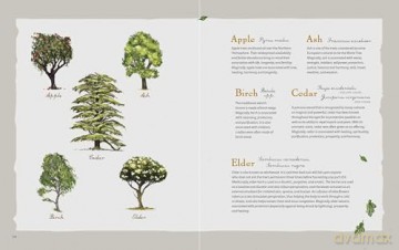 The Green Witch Illustrated: An Enchanting Immersion Into the Magic of Natural Witchcraft (Green Witch Witchcraft Series) - Arin Murphy-Hiscock [KSIĄŻKA]
