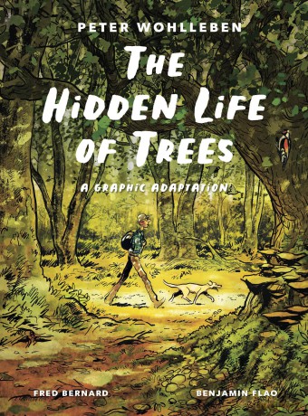 The Hidden Life of Trees: A Graphic Adaptation: (of the International Bestseller) - Peter Wohlleben [KSIĄŻKA]