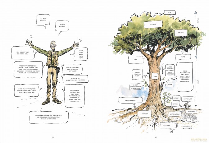 The Hidden Life of Trees: A Graphic Adaptation: (of the International Bestseller) - Peter Wohlleben [KSIĄŻKA]