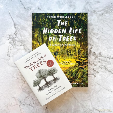 The Hidden Life of Trees: A Graphic Adaptation: (of the International Bestseller) - Peter Wohlleben [KSIĄŻKA]