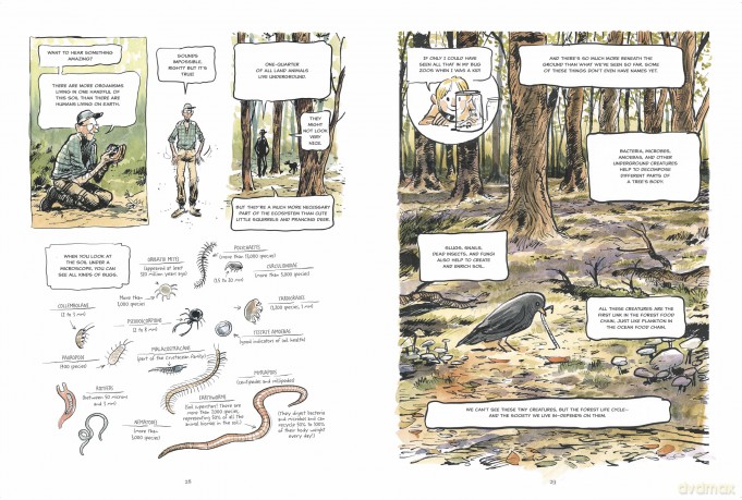 The Hidden Life of Trees: A Graphic Adaptation: (of the International Bestseller) - Peter Wohlleben [KSIĄŻKA]