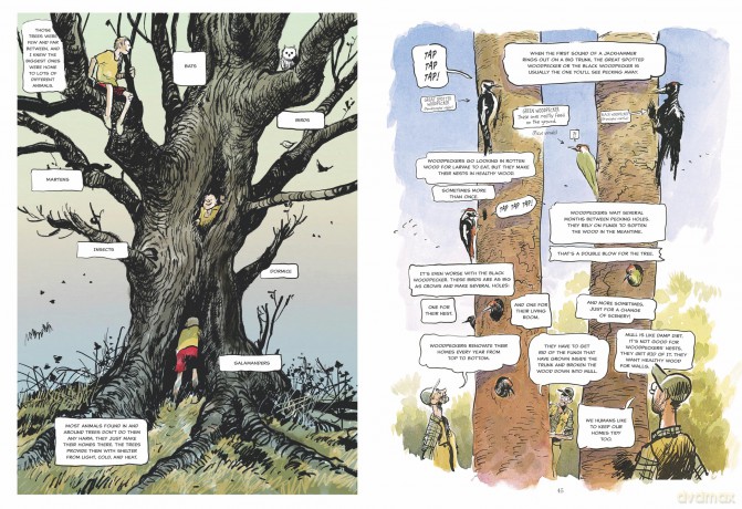 The Hidden Life of Trees: A Graphic Adaptation: (of the International Bestseller) - Peter Wohlleben [KSIĄŻKA]