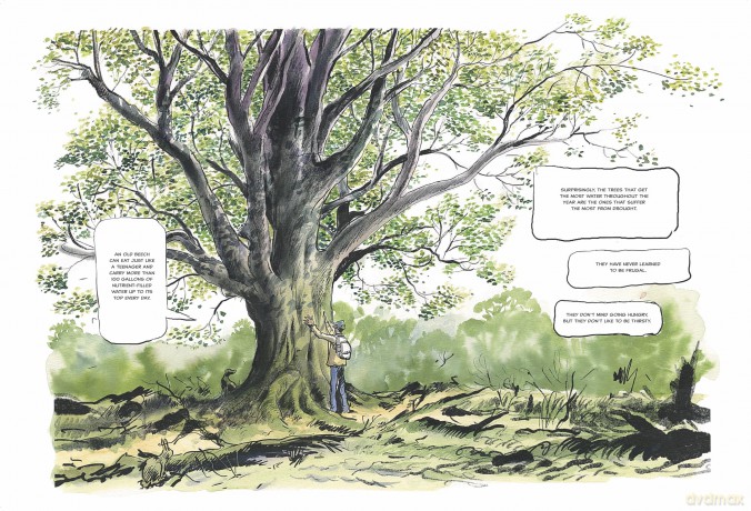 The Hidden Life of Trees: A Graphic Adaptation: (of the International Bestseller) - Peter Wohlleben [KSIĄŻKA]