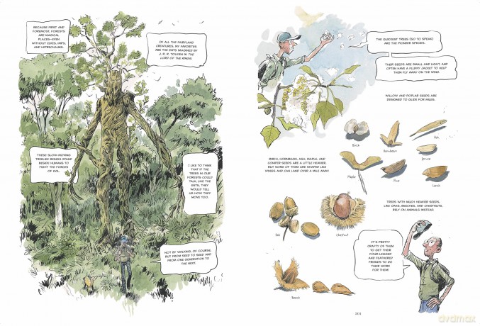 The Hidden Life of Trees: A Graphic Adaptation: (of the International Bestseller) - Peter Wohlleben [KSIĄŻKA]