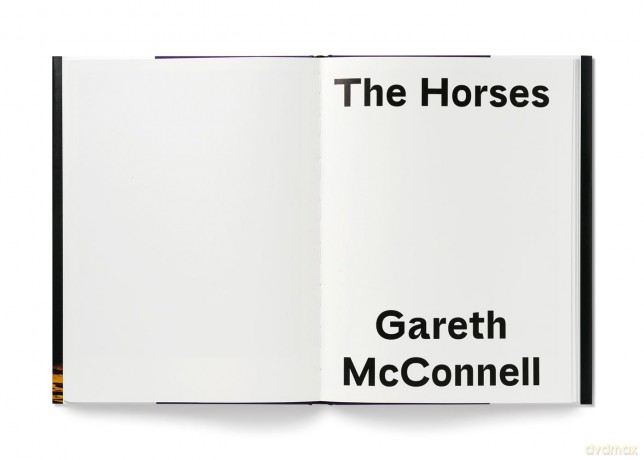 The Horses - Gareth McConnell - Gareth McConnell [KSIĄŻKA]