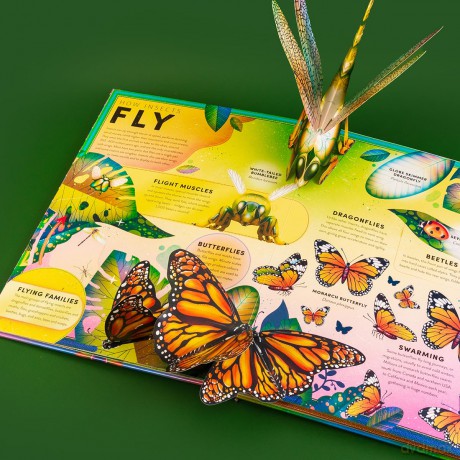 The Incredible Pop-up Bug: With 20 flaps to lift and GIANT pop-ups - Ben Hoare [KSIĄŻKA]