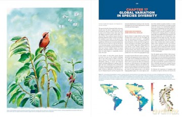 The Largest Avian Radiation - Jon Fjeldsa [KSIĄŻKA]