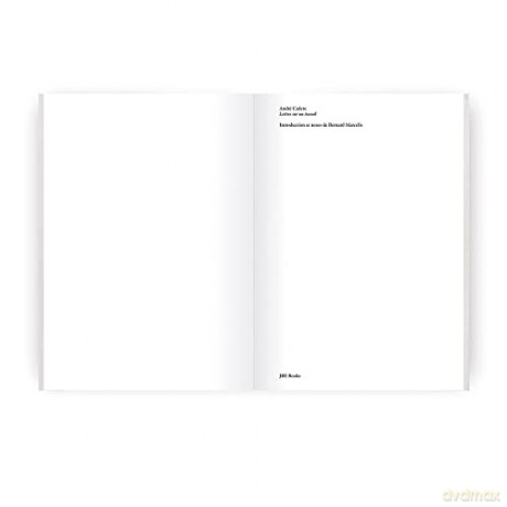 The Last Letters (Letters About a Work): Letters about a Work - Andre Cadere [KSIĄŻKA]