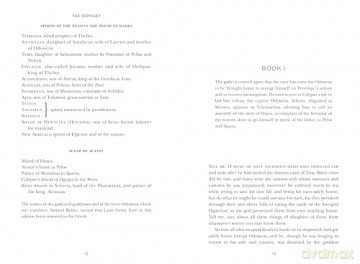 The Odyssey (Signature Gilded Editions) - Homer [KSIĄŻKA]