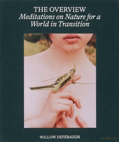 The Overview: Meditations on Nature for a World in Transition - Willow Defebaugh [KSIĄŻKA]