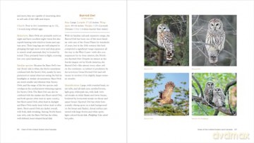 The Owl Handbook: Investigating the Lives, Habits, and Importance of These Enigmatic Birds - John Shewey [KSIĄŻKA]