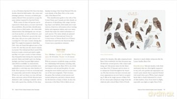 The Owl Handbook: Investigating the Lives, Habits, and Importance of These Enigmatic Birds - John Shewey [KSIĄŻKA]