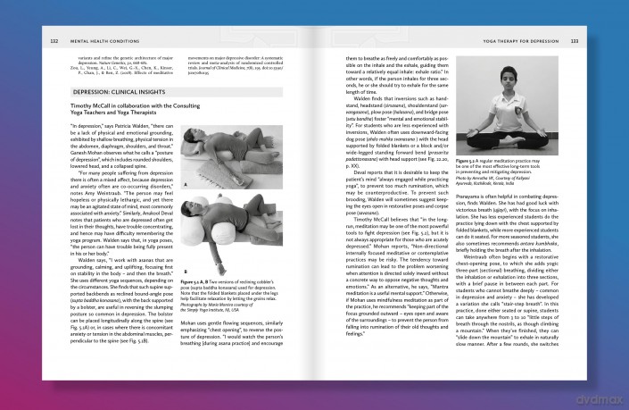 The Principles and Practice of Yoga in Health Care, Second Edition - Sat Bir Khalsa [KSIĄŻKA]