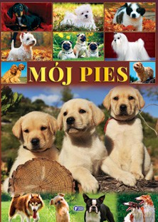 Mój Pies Tw - Studio Fenix [KSIĄŻKA]