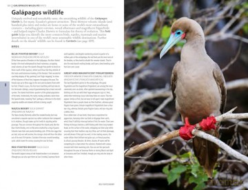 The Rough Guide to Ecuador and the Galapagos: Travel Guide with Free eBook (Rough Guides Main Series) - Rough Guides [KSIĄŻKA]