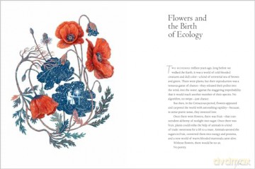 The Universe in Verse: 15 Portals to Wonder through Science and Poetry - Maria Popova [KSIĄŻKA]