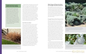 The Water-Smart Garden: Techniques and Strategies for Conserving, Capturing, and Efficiently Using Water in Today's Climate... and Tomorrow's - Noelle Johnson [KSIĄŻKA]