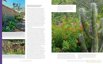 The Water-Smart Garden: Techniques and Strategies for Conserving, Capturing, and Efficiently Using Water in Today's Climate... and Tomorrow's - Noelle Johnson [KSIĄŻKA]