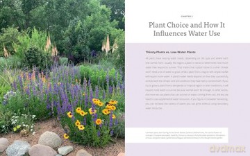 The Water-Smart Garden: Techniques and Strategies for Conserving, Capturing, and Efficiently Using Water in Today's Climate... and Tomorrow's - Noelle Johnson [KSIĄŻKA]