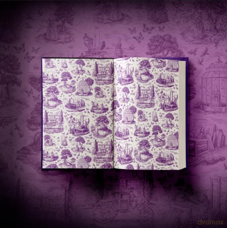 The Woman in the Wallpaper: The most anticipated historical debut of 2025 - Lora Jones [KSIĄŻKA]