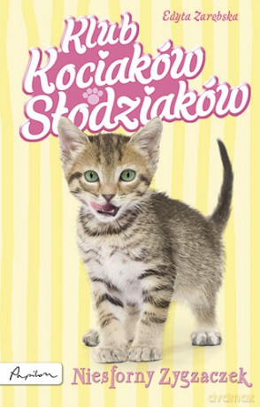 Niesforny Zygzaczek Klub Kociaków Słodziaków - Zarębska Edyta [KSIĄŻKA]