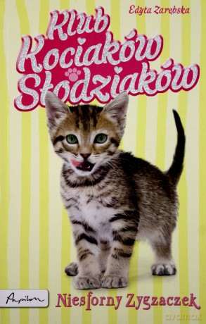Niesforny Zygzaczek Klub Kociaków Słodziaków - Zarębska Edyta [KSIĄŻKA]
