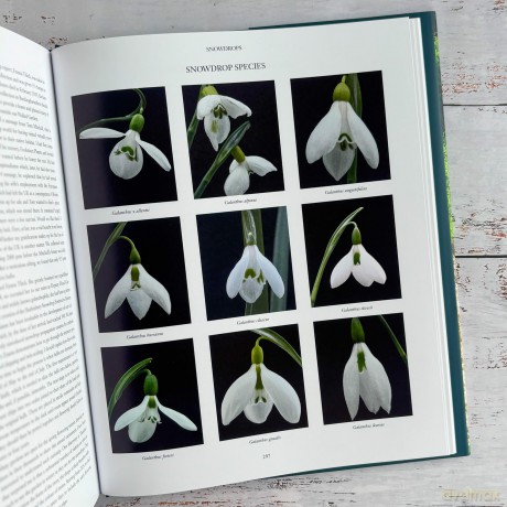 Thenford: The Creation of an English Garden - Anne Heseltine [KSIĄŻKA]