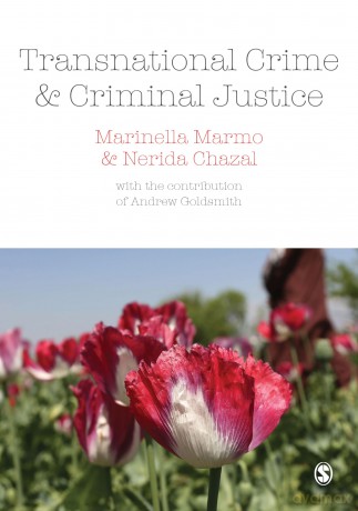 Transnational Crime and Criminal Justice - Marinella Marmo [KSIĄŻKA]