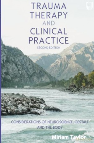 Trauma Therapy and Clinical Practice - Miriam Taylor [KSIĄŻKA]
