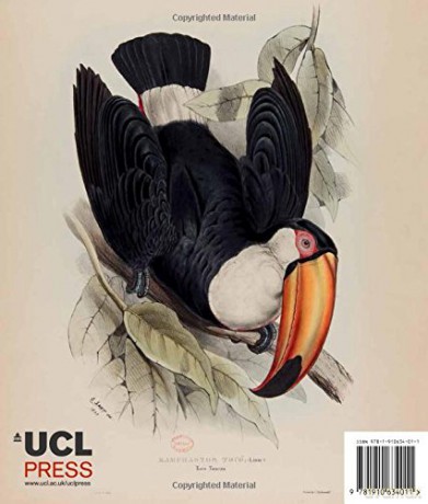 Treasures from UCL - Gillian Furlong [KSIĄŻKA]