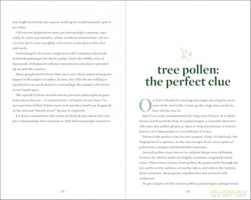 TreeNotes: A Year in the Company of Trees - Nalini Nadkarni [KSIĄŻKA]