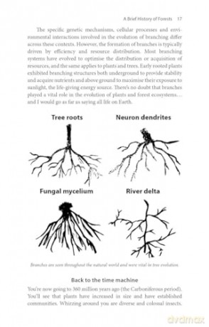 Treewilding: Our Past, Present and Future Relationship with Forests - Jake Robinson [KSIĄŻKA]