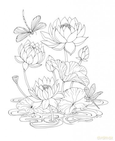 Tropical Wonderland: A Magical Coloring Retreat - A Calming Coloring Book of Rainforest Flowers and Animals for Adults (Coloring Wonderland) - Rachel Reinert [KSIĄŻKA]