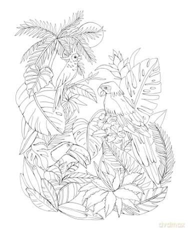 Tropical Wonderland: A Magical Coloring Retreat - A Calming Coloring Book of Rainforest Flowers and Animals for Adults (Coloring Wonderland) - Rachel Reinert [KSIĄŻKA]