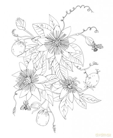 Tropical Wonderland: A Magical Coloring Retreat - A Calming Coloring Book of Rainforest Flowers and Animals for Adults (Coloring Wonderland) - Rachel Reinert [KSIĄŻKA]