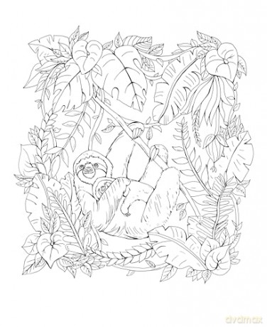 Tropical Wonderland: A Magical Coloring Retreat - A Calming Coloring Book of Rainforest Flowers and Animals for Adults (Coloring Wonderland) - Rachel Reinert [KSIĄŻKA]