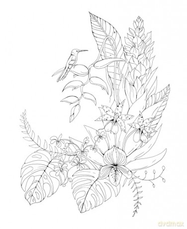 Tropical Wonderland: A Magical Coloring Retreat - A Calming Coloring Book of Rainforest Flowers and Animals for Adults (Coloring Wonderland) - Rachel Reinert [KSIĄŻKA]