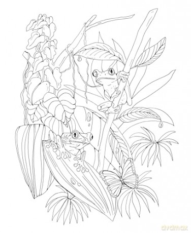 Tropical Wonderland: A Magical Coloring Retreat - A Calming Coloring Book of Rainforest Flowers and Animals for Adults (Coloring Wonderland) - Rachel Reinert [KSIĄŻKA]
