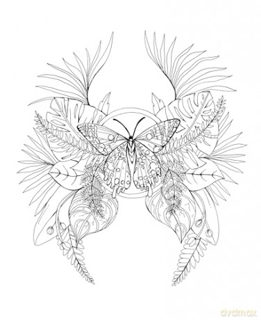 Tropical Wonderland: A Magical Coloring Retreat - A Calming Coloring Book of Rainforest Flowers and Animals for Adults (Coloring Wonderland) - Rachel Reinert [KSIĄŻKA]