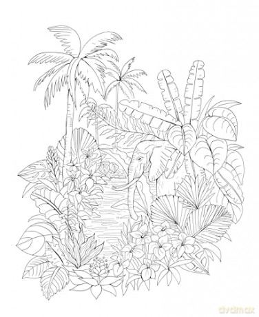 Tropical Wonderland: A Magical Coloring Retreat - A Calming Coloring Book of Rainforest Flowers and Animals for Adults (Coloring Wonderland) - Rachel Reinert [KSIĄŻKA]