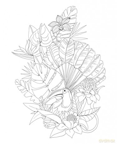 Tropical Wonderland: A Magical Coloring Retreat - A Calming Coloring Book of Rainforest Flowers and Animals for Adults (Coloring Wonderland) - Rachel Reinert [KSIĄŻKA]