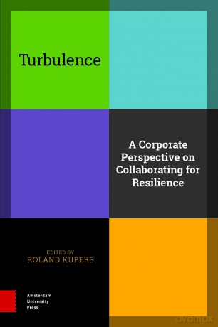 Turbulence: A Corporate Perspective on Collaborating for Resilience - Roland Kupers [KSIĄŻKA]