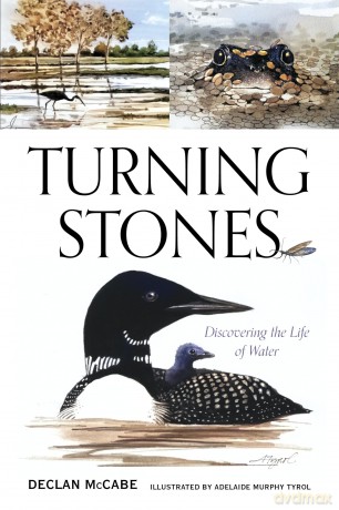 Turning Stones: Discovering the Life of Water - Declan McCabe [KSIĄŻKA]