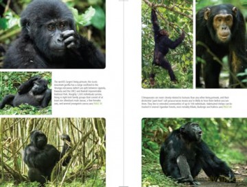 Uganda (Bradt Travel Guide Uganda) - Philip Briggs [KSIĄŻKA]
