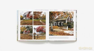 Walk With Me: Hamptons: Photographs - Susan Kaufman [KSIĄŻKA]